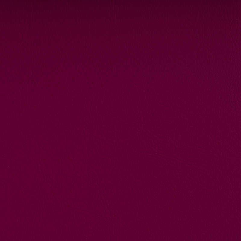 TSVA-2002 berry